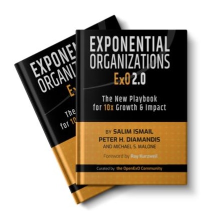 Capa do livro Exponential Organizations 2.0